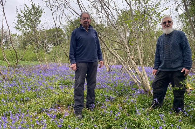 Frank xxx and Mike Deane, of Leigh Coppice volunteers invite anyone of any age to their Bluebell Open Day, near Clearbrook, on Saturday, May 16.