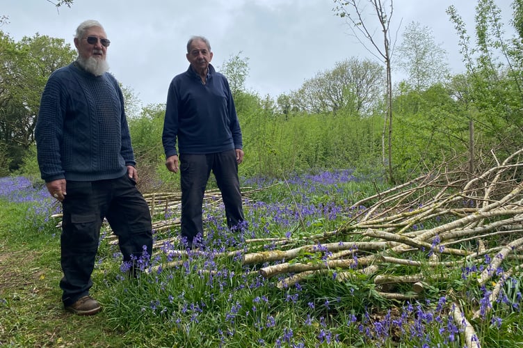Mike Deane (left) and Frank xxx,  of Leigh Coppice volunteers, invite anyone of any age to their Bluebell Open Day, near Clearbrook, on Saturday, May 16.