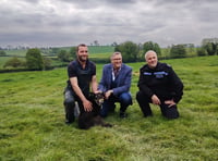 WATCH: Keep dogs on lead says TV's Mr Dog Father