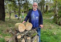 Churchyard volunteers get to work on invasive species