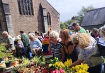 Yelverton charity plant sale raises record amount