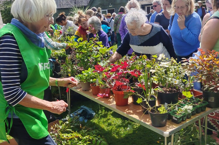 Yelverton NSPCC committee recorded record taking from its annual plant sale and cream teas in the parish church grounds.