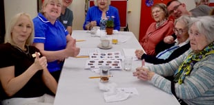 Yelverton Rotary stages successful tea party for older residents