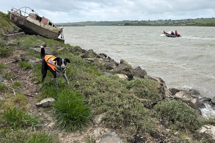 North Devon Dartmoor Search & Rescue Team dog joins search along River Taw for missing Barnstaple teen. 
