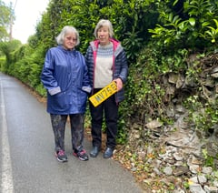  Villagers' appeal for road safety upgrade