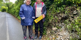  Villagers' appeal for road safety upgrade