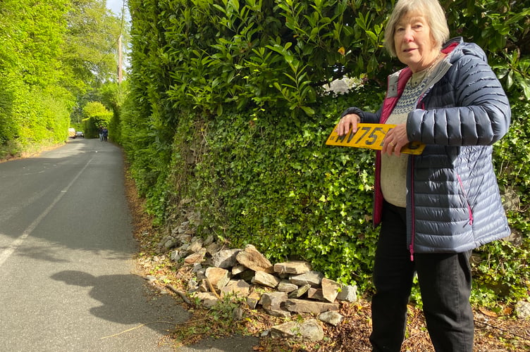 Jean Jameson standing next to her damaged garden wall on Meavy Lane, Yelverton, and holding the number plate of the vehicle she claims hit the stonework.