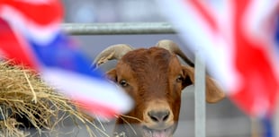 It's showtime - gates open for the 2026 Devon County Show