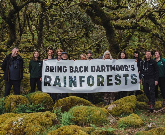 Restoring Dartmoor rainforests gains momentum