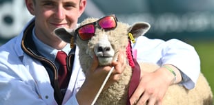 Things are hotting up at the Devon County Show