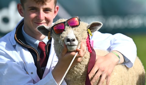 Things are hotting up at the Devon County Show