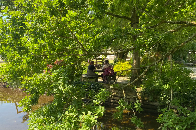 Two friends escape the fiery sun in Tavistock's floral sensory garden.