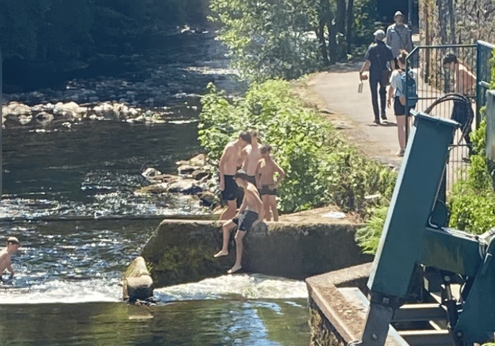 A group of youngsters taking a welcome dip in the River Tavy at Abbey Bridge during the extremely weather.