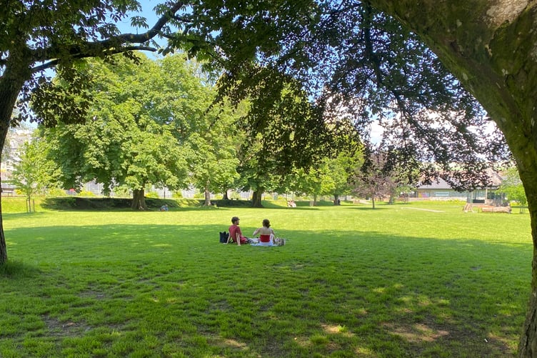 Young friends enjoying lunch during the heatwave in the Meadows tree shade in Tavistock.