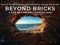 Transition Tavistock invite to midsummer film screening