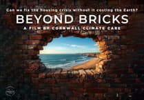 Transition Tavistock invite to midsummer film screening