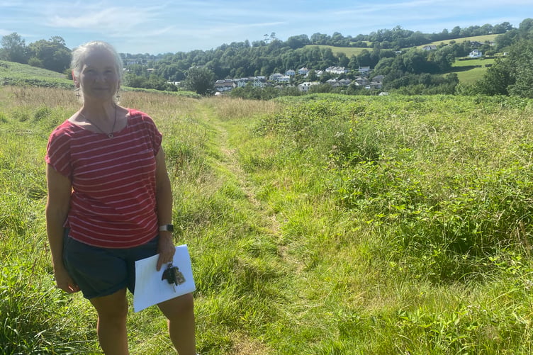 Fighting another potential housing estate on the edge of Tavistock, is resident Dianne Giles.