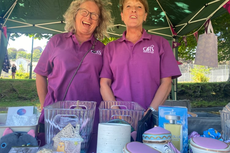Purring along with the Tavistock area Cats Protection at Tavistock Lions family fun day in the Meadows park.