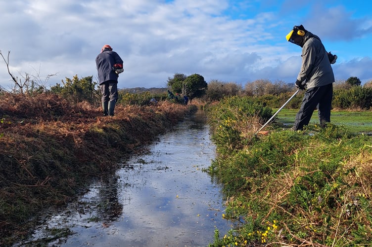 Drakes leat strimming with Dartmoor Preservation Association.
