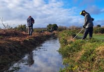 Celebrating all things water on Dartmoor