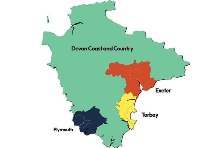 The government's plan for Devon's local authorities.