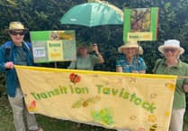 Transition Tavistock: Green is gold