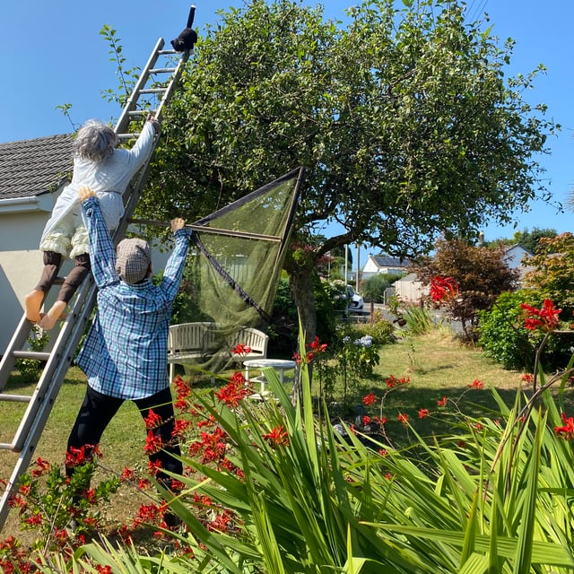 Village blooming with flowers, scarecrows and gnomes