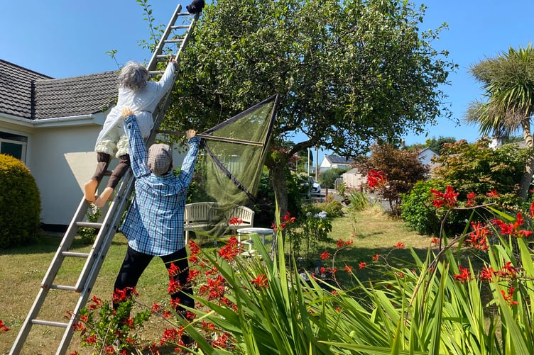 The classic cat-up-a-tree rescue was celebrated in scarecrow form was praised by judges in the Bere Alston In Bloom competition.