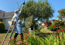 Bere Alston blooming with flowers and scarecrows