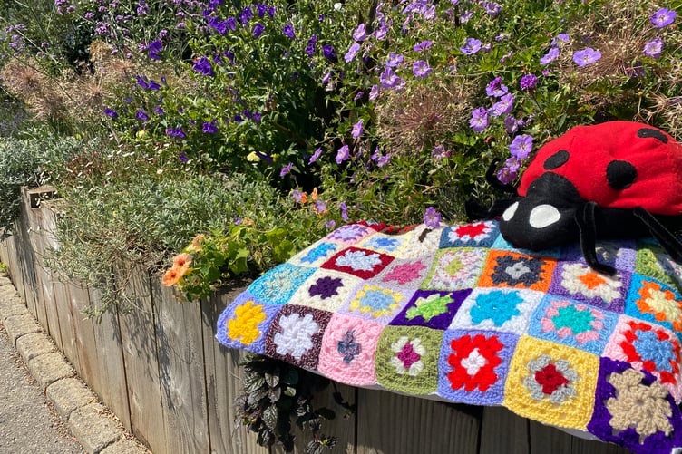 Bere Alston was a blaze with colour for the judging of the Bere Alston In Bloom competition. Pictured is a giant stuffed toy ladybird resting on a crocheted blanket on a village centre flower bed.