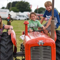 Okehampton Show update as bluetongue cases surge