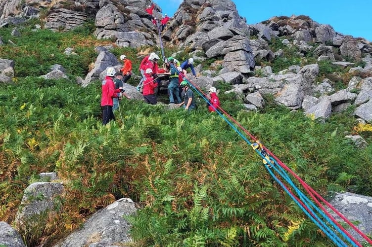 Volunteers from Dartmoor Search and Rescue Tavistock helped a boy to safety after he fell from a Dartmoor tor.