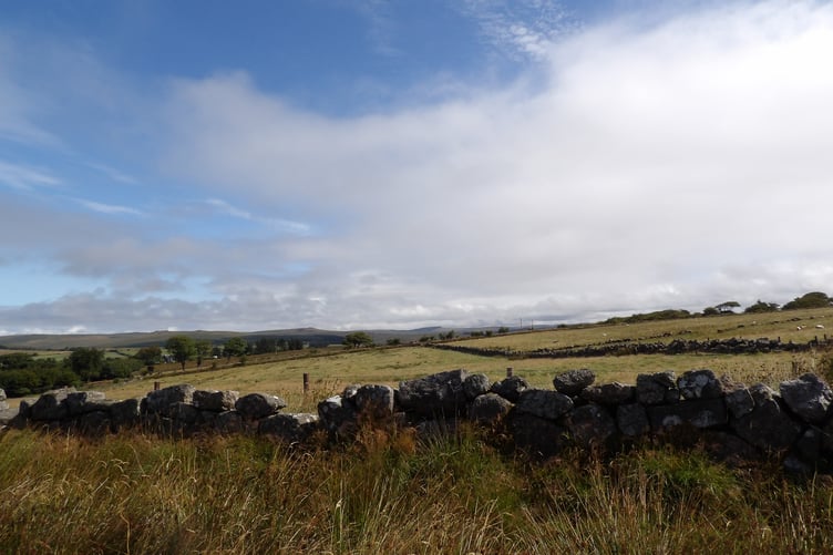 A view of Dartmoor