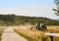 Devon country park opens to the public - and it's a new place for nature to thrive