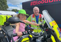 In pictures: Sports, sharks and Lego at family fun day