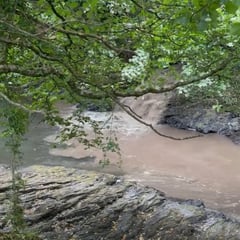 Residents slam Tavy's 'shameful' sewage pollution
