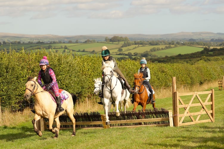 Spooners and West Dartmoor Hunt pony racing at Lamerton. Picture by Chris Cotterell.