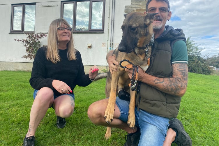 Simon and Tracey Langford with Thunder their RSPCA rescue dog from Margaret Green join the sponsored dog walk at Wingletang rescue centre.