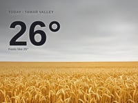 Tamar Valley: overcast day, high of 26°C