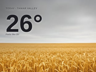 Tamar Valley: overcast day, high of 26°C