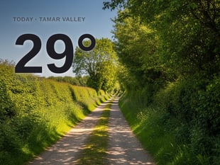 Tamar Valley: sunny day, high of 29°C